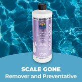 Scale Gone Scale Remover and Preventative